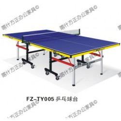 FZ-TY005乒乓球台-喀什办公家具,喀什方正办公家具