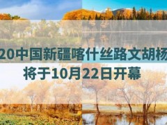 2020喀什丝路文化胡杨节于10月22日开幕