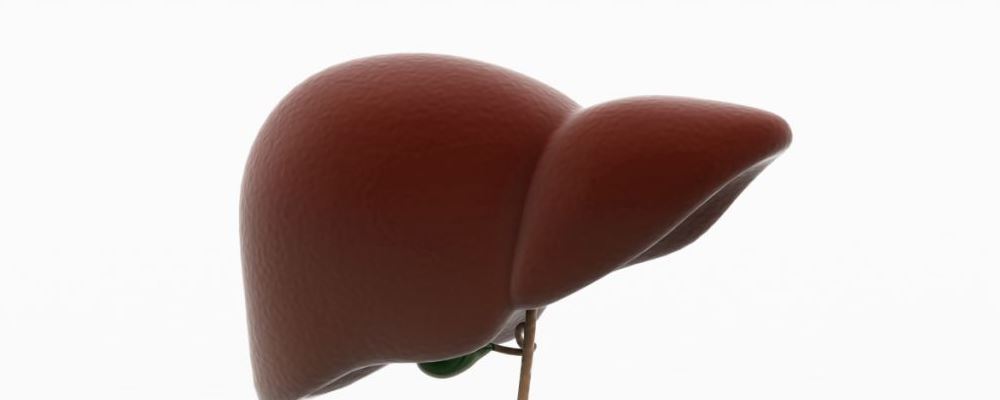 新技术使肝脏可体外存活7天 脂肪肝的危害 如何预防脂肪肝